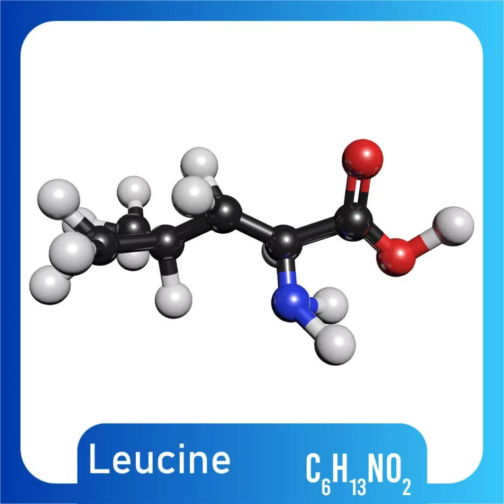 leucine