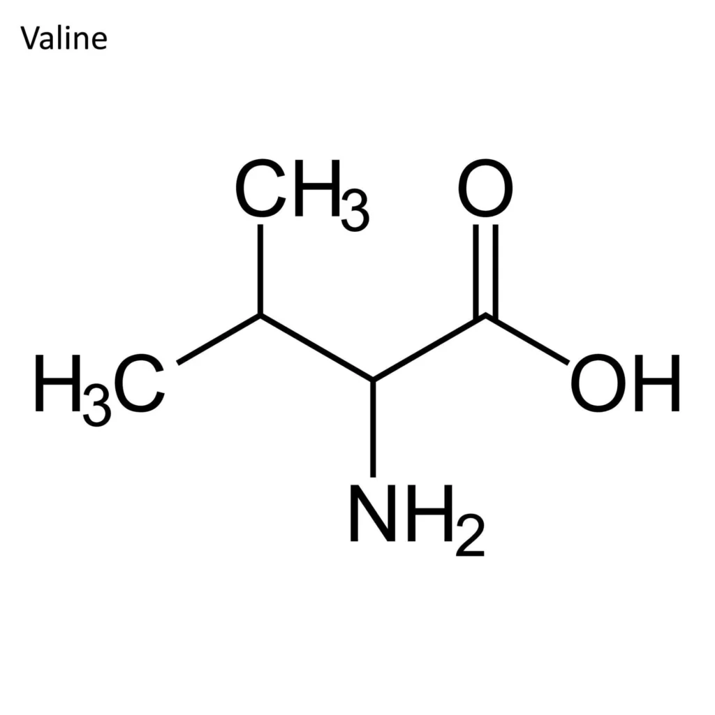 valine