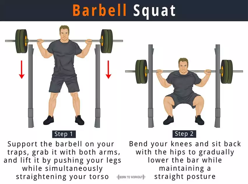 barbell squat